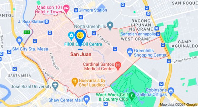 San Juan City Metro Manila Zip Code Map